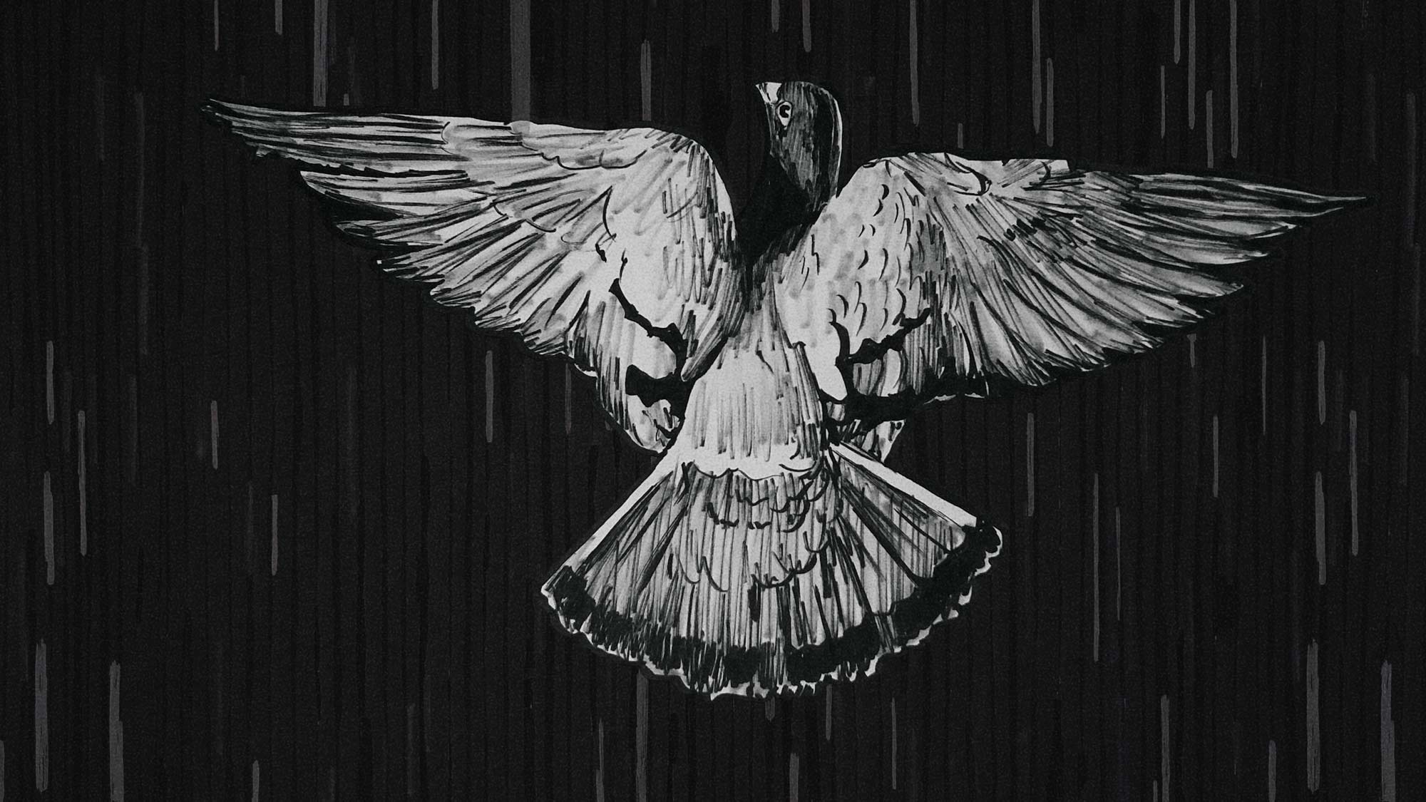 illustration video frame of a pigeon flying gracefully upward into the rain