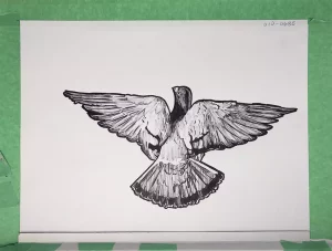 photo of a pigeon illustration